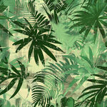 雨林丛林热带植物树叶背景