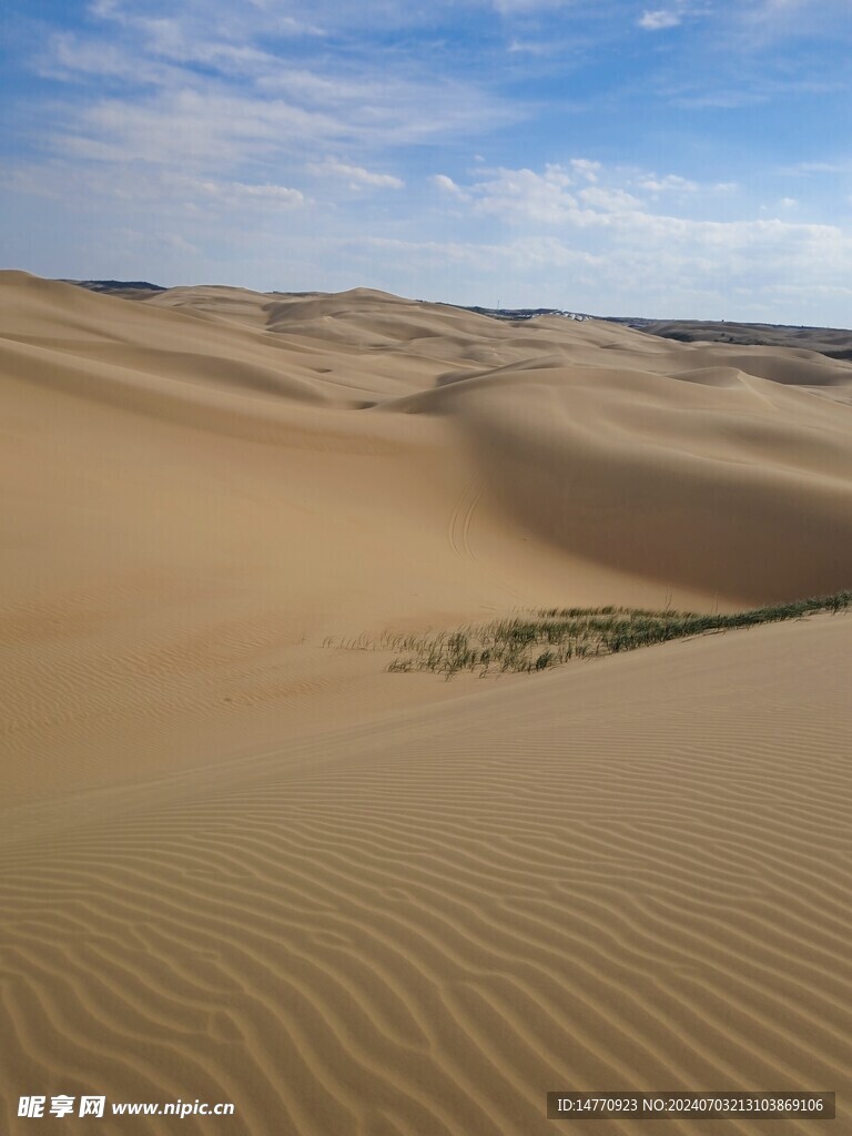 沙漠