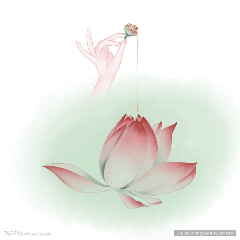 荷花