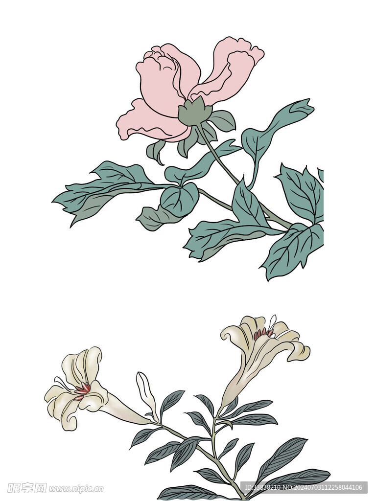  花