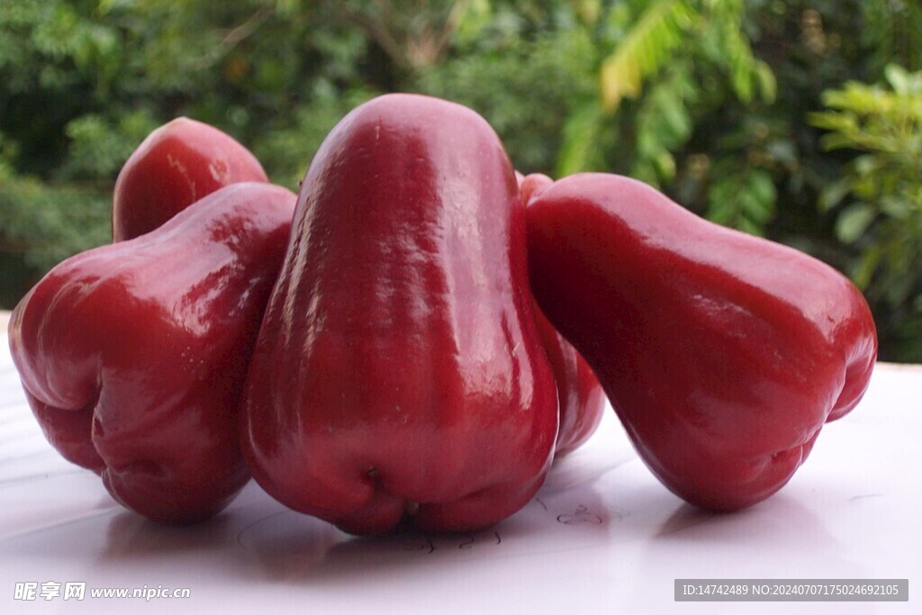 紅蛇果