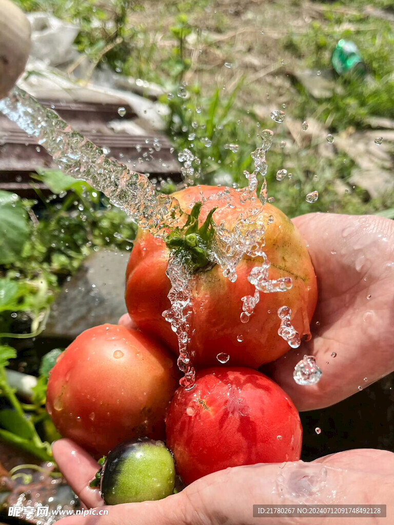 水洗西紅杮