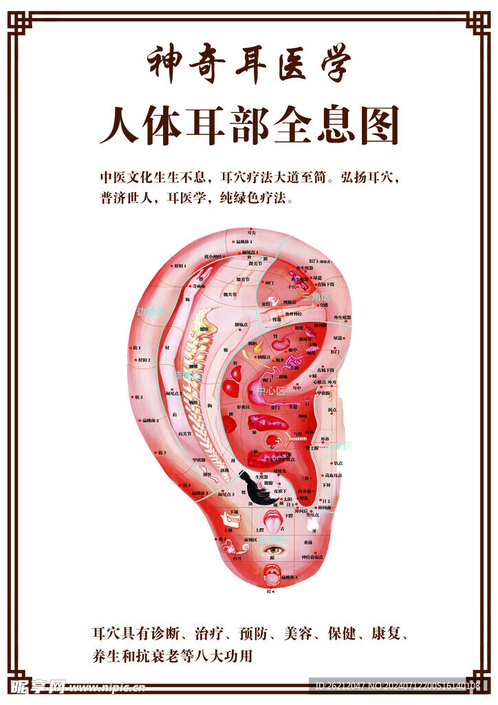 耳部全息圖