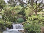 石橋流水