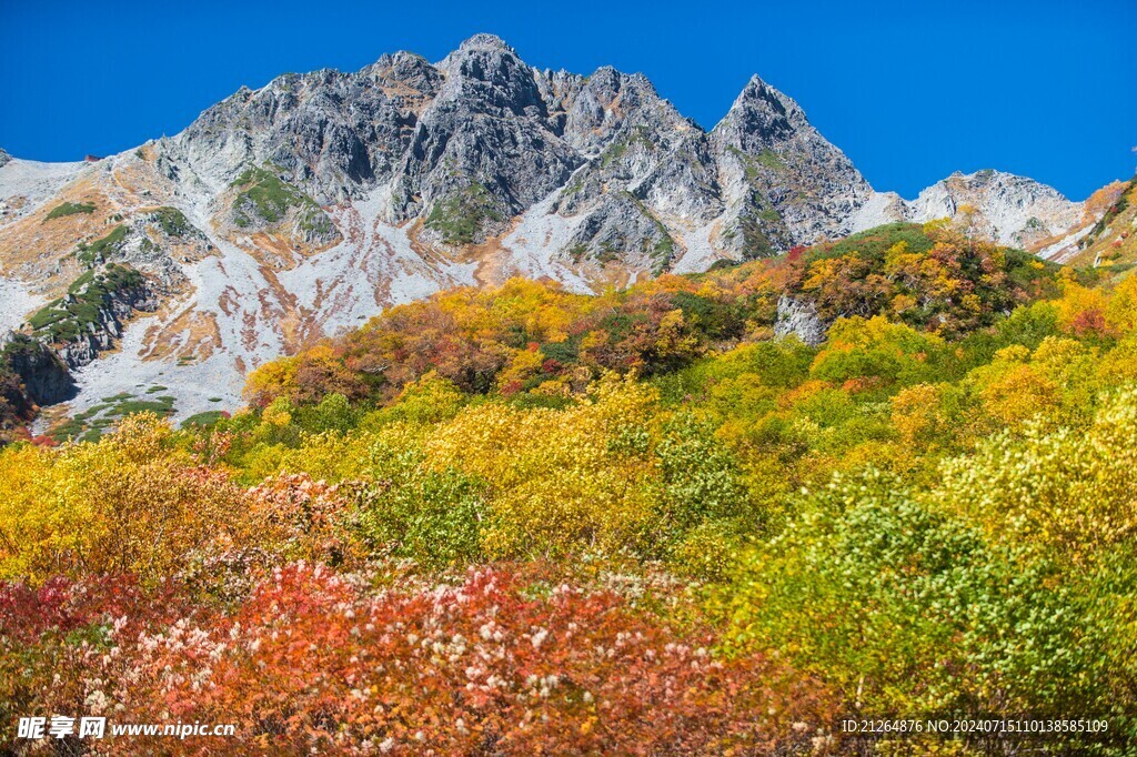 山岳勝景地