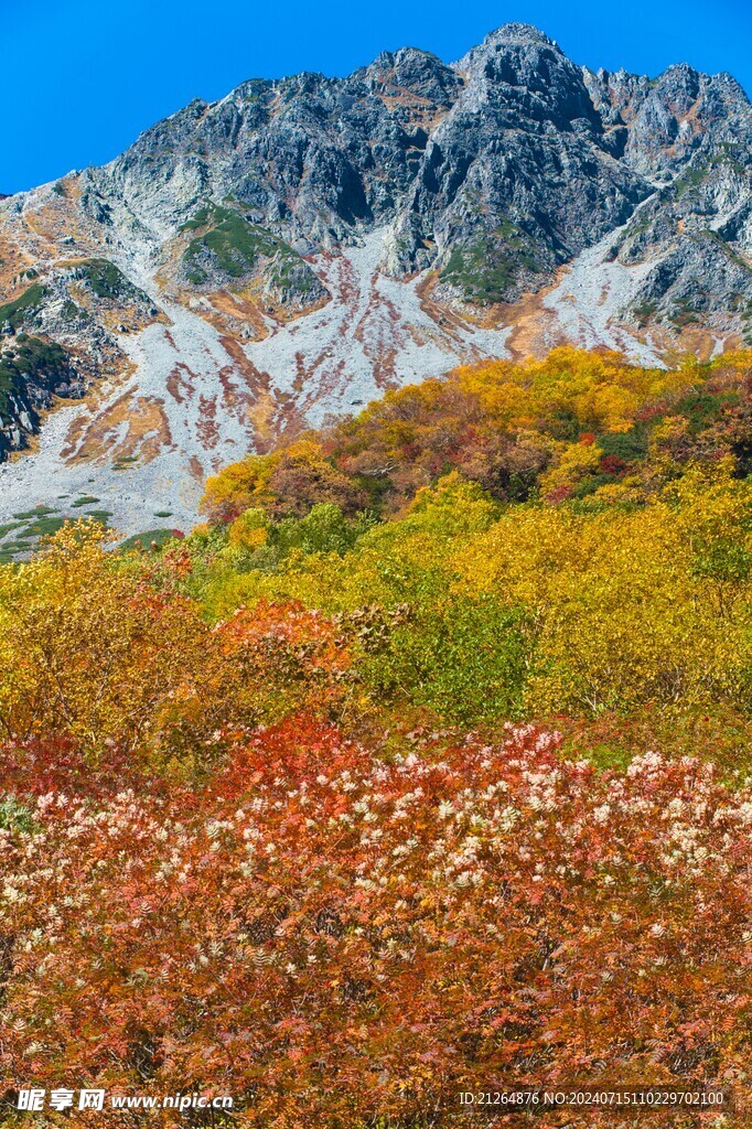 山岳勝景地上高地