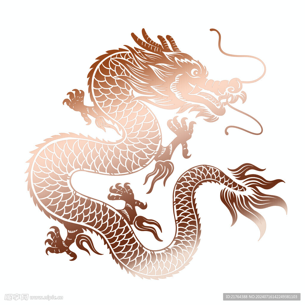 龍