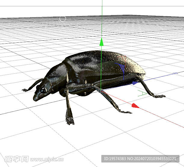 C4D模型 昆蟲