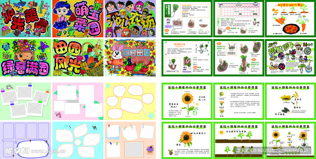 送給小朋友的向日葵圖鑒