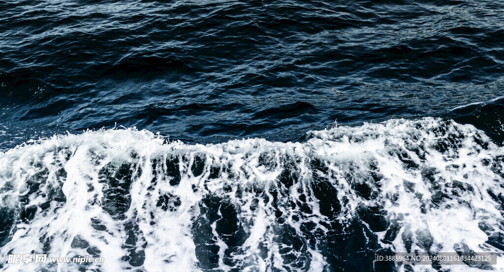  大海 浪花 海邊 海浪 海水