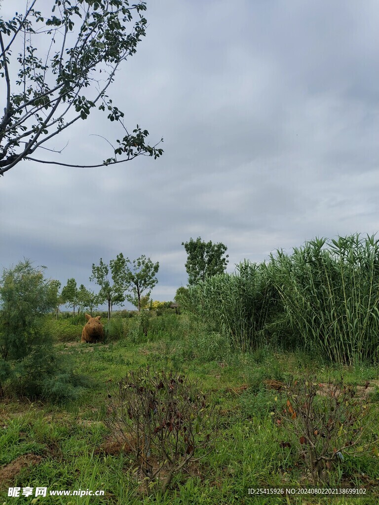 旅游照片