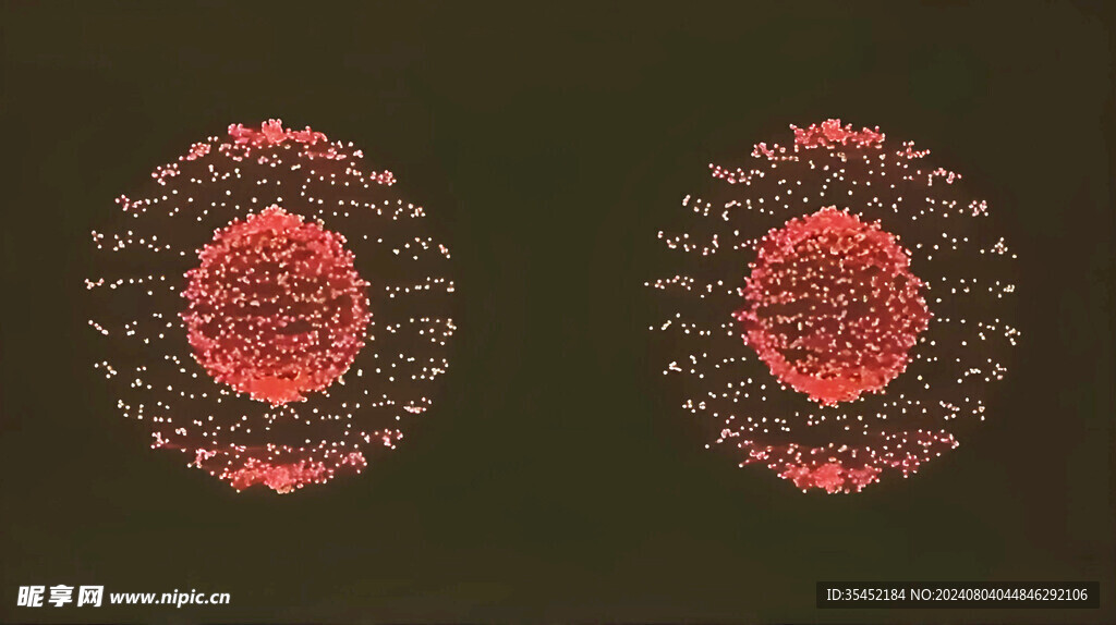 細胞