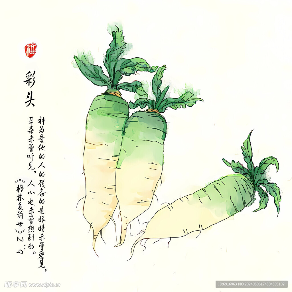 蘿卜