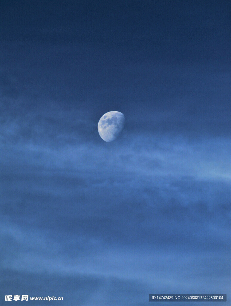 半月