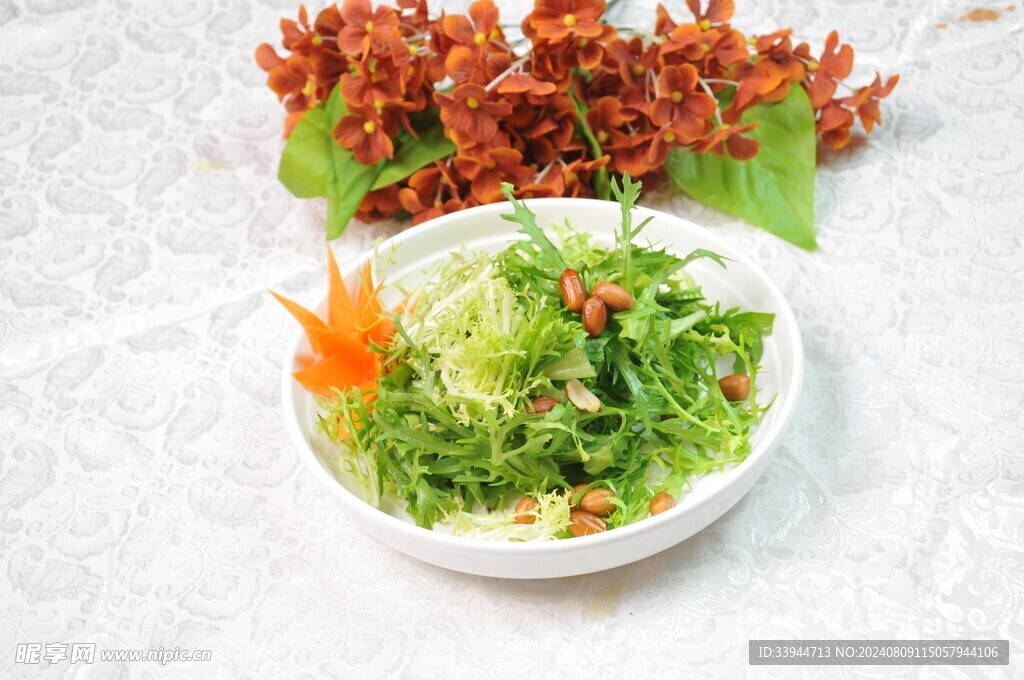 爽口苦菊
