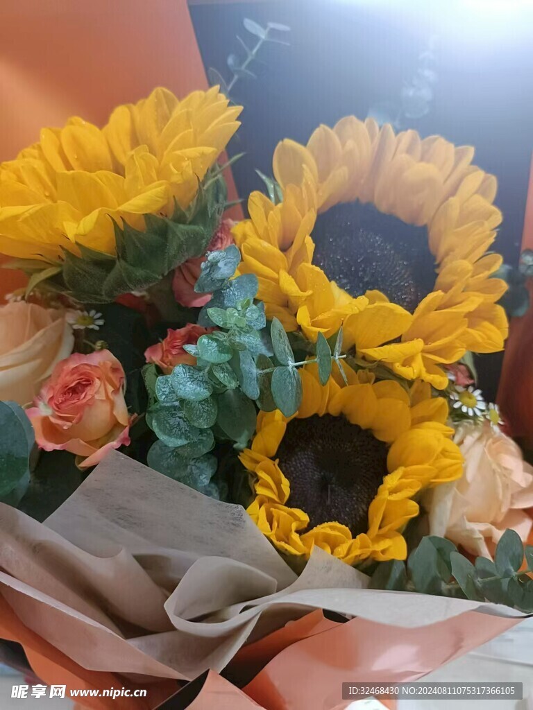 好看太陽花