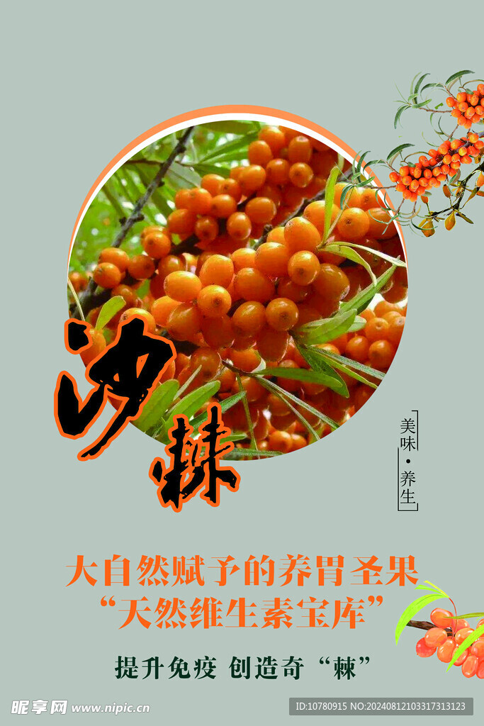 沙棘果