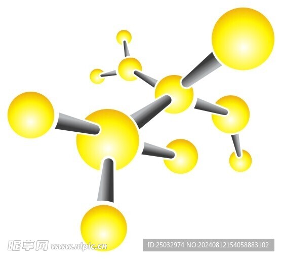 生物分子