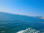 大海