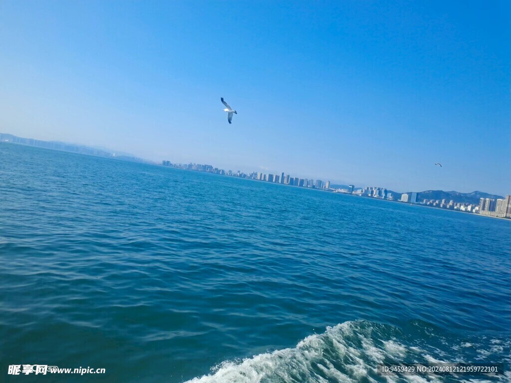 大海