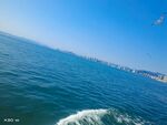大海  