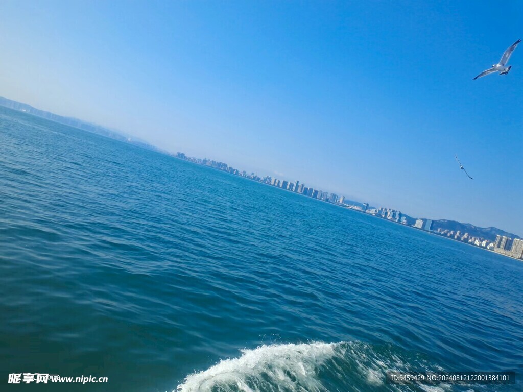 大海  