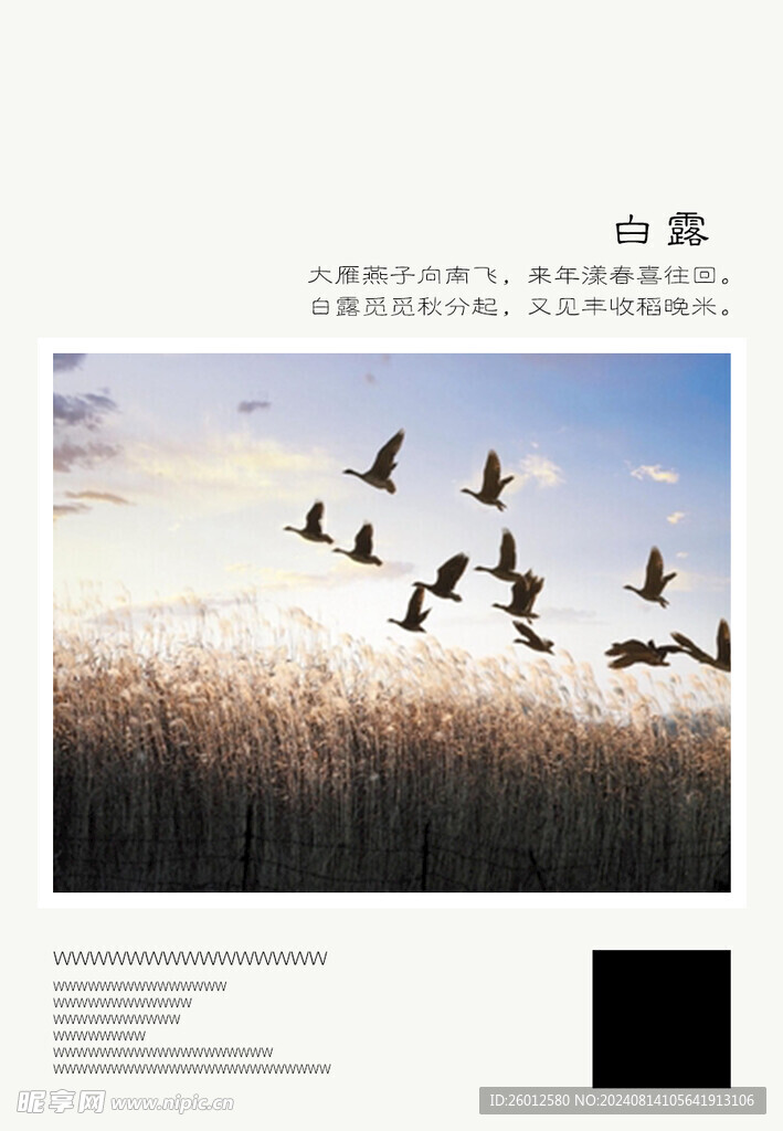 二十四節氣 白露