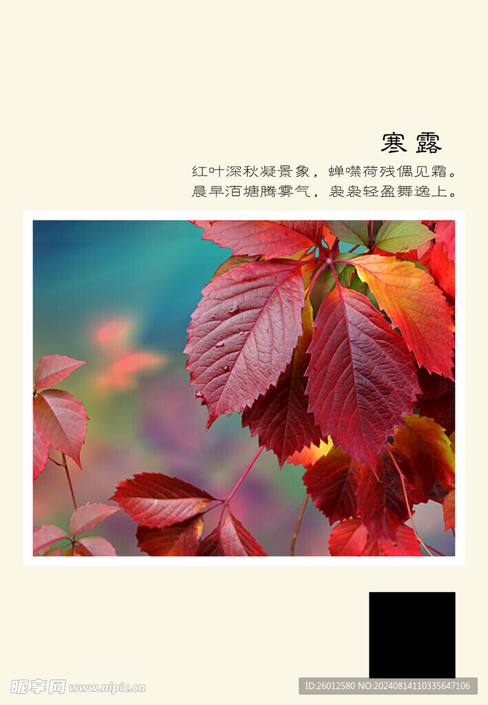 二十四節(jié)氣 寒露