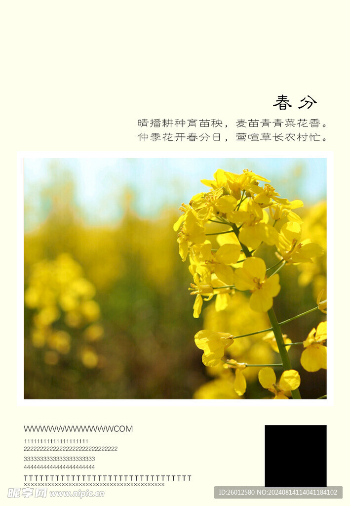 二十四節(jié)氣 春分