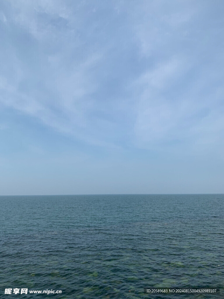 海
