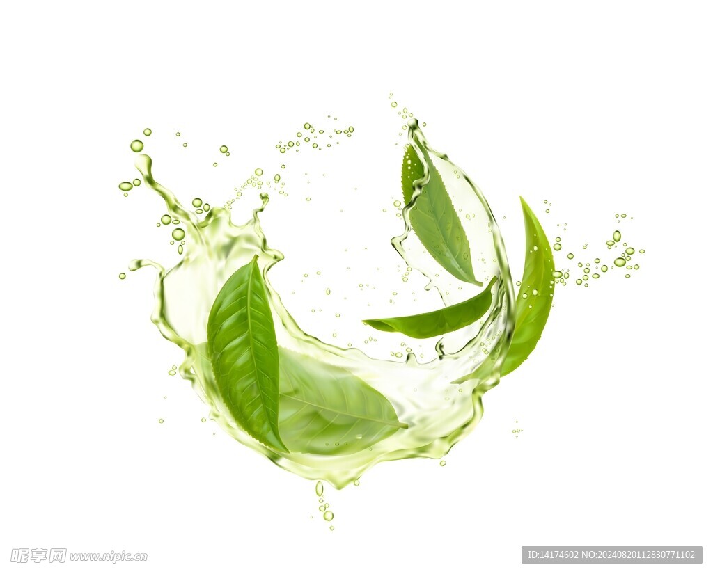 綠茶綠葉茶葉液體