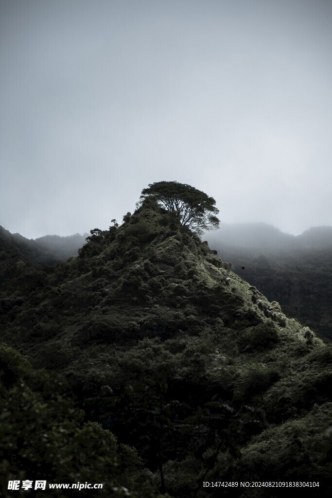 山脈景觀