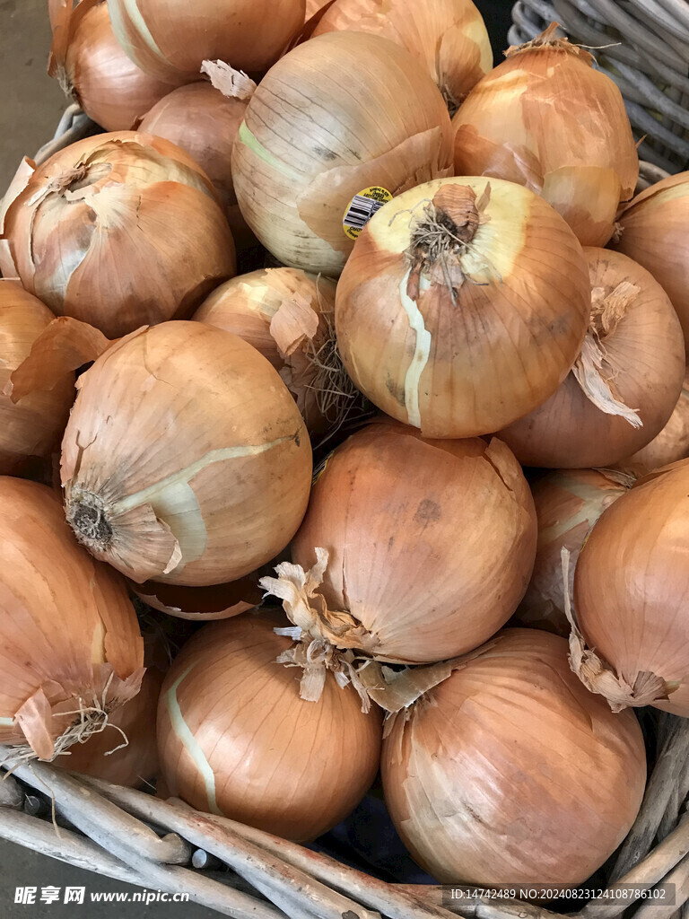 新鮮洋蔥蔬菜