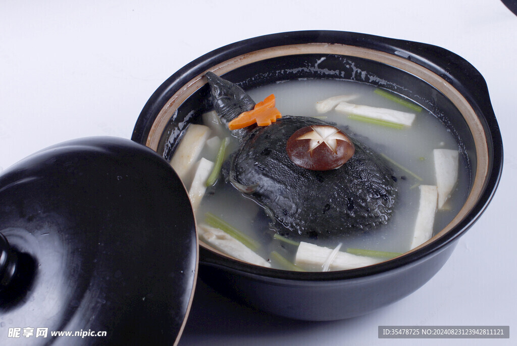 珍菌黃河甲魚