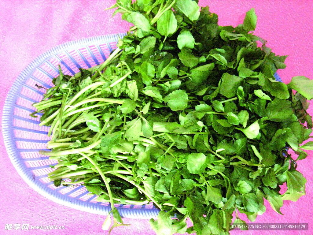 西洋菜