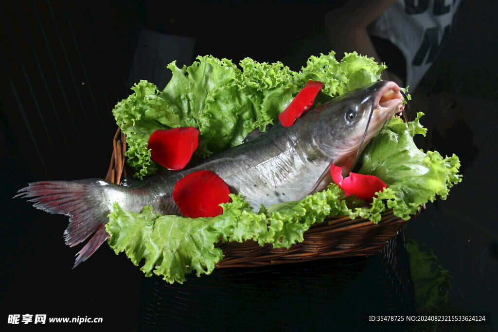 回魚