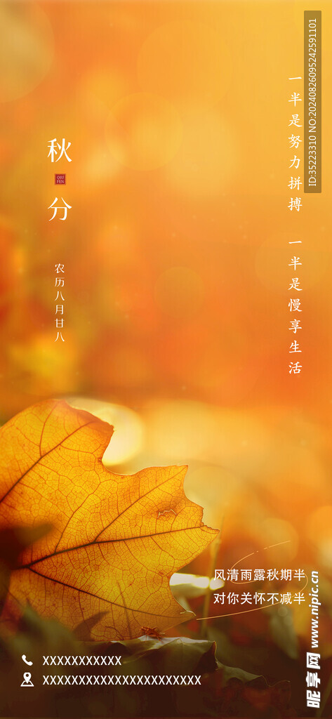 通用秋分節氣祝福實景海報