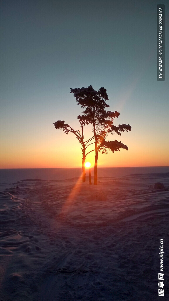 傍晚夕陽