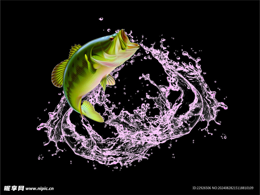 魚躍 水花