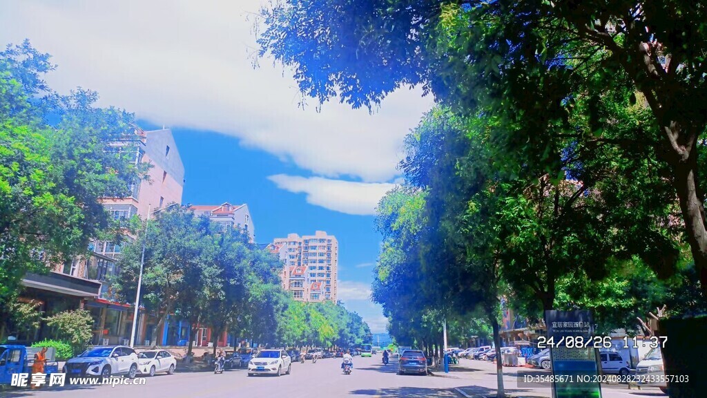 烈陽