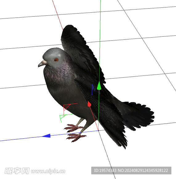 C4D模型 鳥  