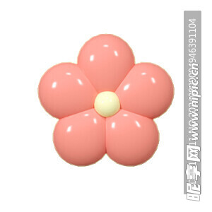 氣球花