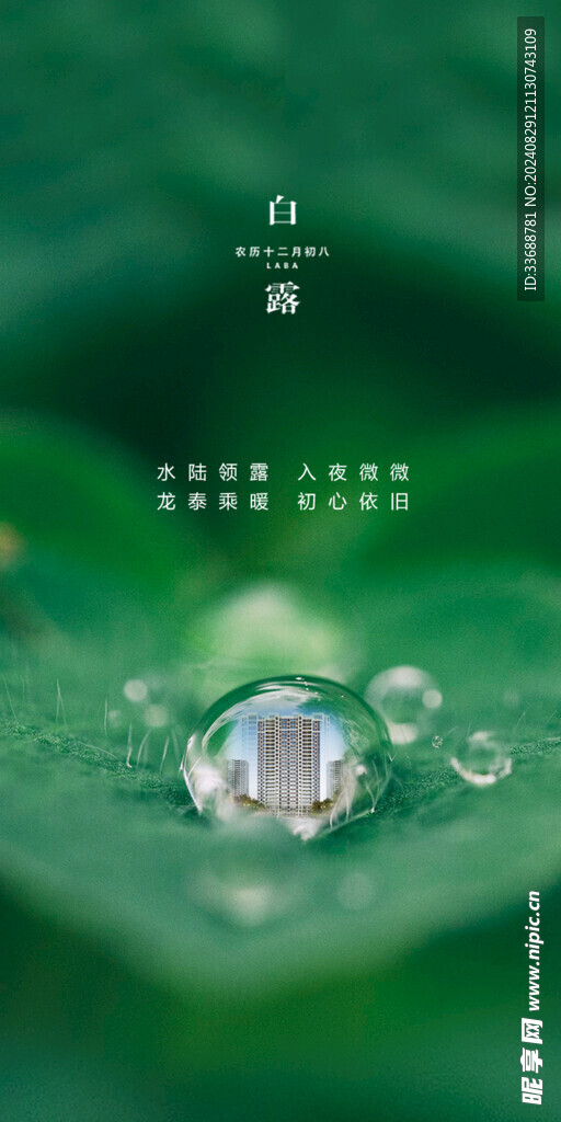 白露地產(chǎn)海報(bào)展架畫(huà)面