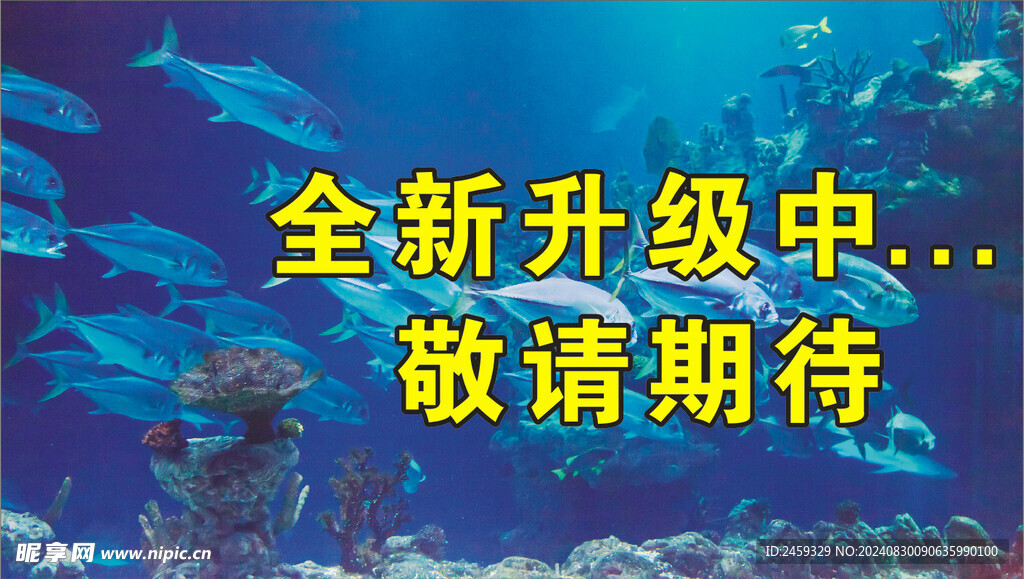 深海背景圍擋布
