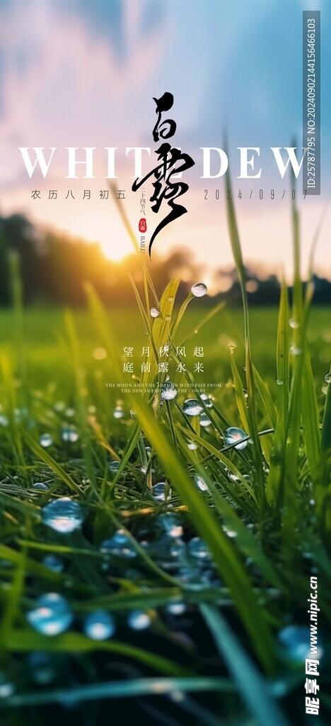 白露海報