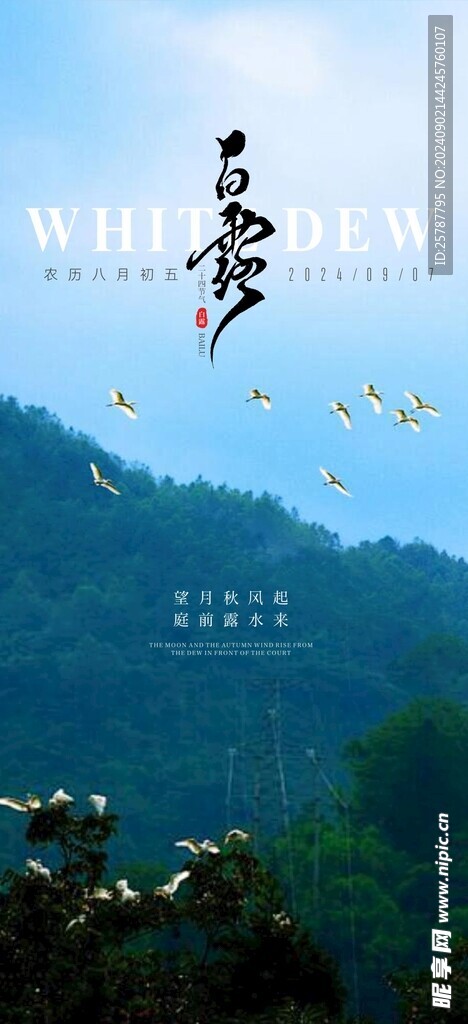 白露海報(bào)