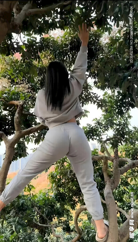 爬樹的女孩