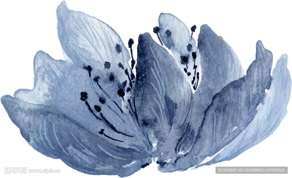 花朵葉子