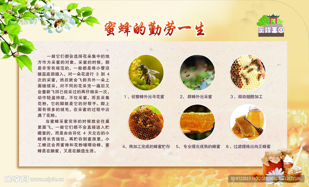 蜜蜂的勤勞一生