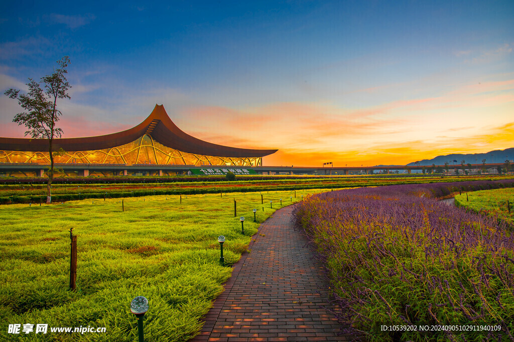花草風景